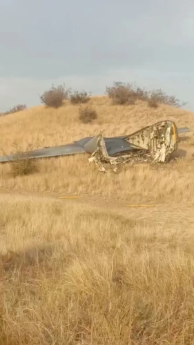Gürcistan'da düşen uçaktan ilk görüntüler: Enkaz geniş alana yayıldı