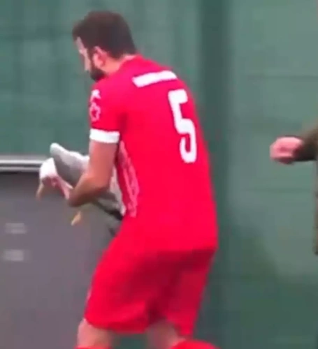 İstanbul'da amatör maçın kahramanları: Martıyı kalp masajıyla hayata döndürdüler