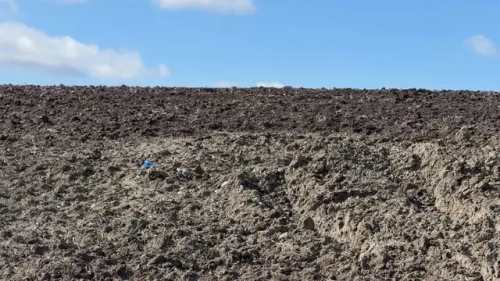 İstanbul'da Çinli iş insanı gasp için öldürüldü: 10 şüpheli Çin'de yakalandı