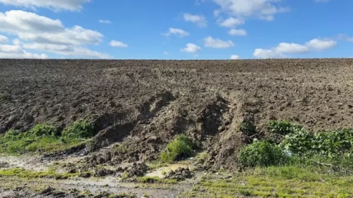 İstanbul'da Çinli iş insanı gasp için öldürüldü: 10 şüpheli Çin'de yakalandı