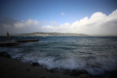 İstanbul'da lodos fırtınası vurdu: Ağaçlar devrildi, çatılar uçtu
