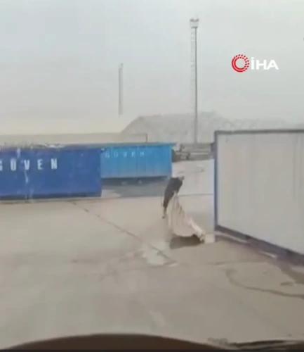 İstanbul'da lodos fırtınası vurdu: Ağaçlar devrildi, çatılar uçtu