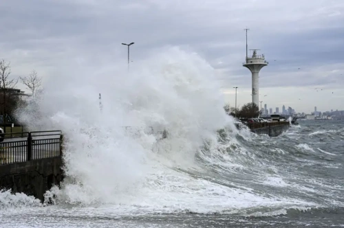 İstanbul'da lodos fırtınası vurdu: Ağaçlar devrildi, çatılar uçtu