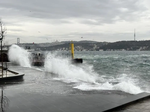 İstanbul'da lodos fırtınası vurdu: Ağaçlar devrildi, çatılar uçtu