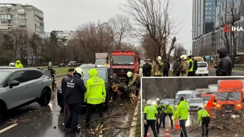 İstanbul'da lodos fırtınası vurdu: Ağaçlar devrildi, çatılar uçtu