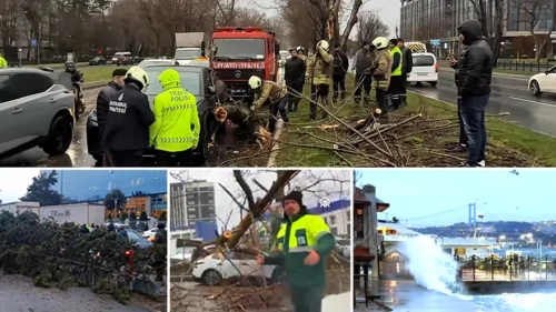 İstanbul'da lodos fırtınası vurdu: Ağaçlar devrildi, çatılar uçtu