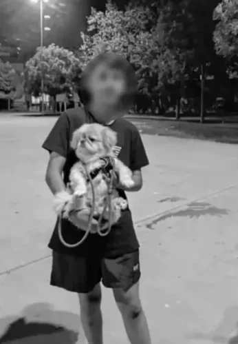 İstanbul'da ortaokul öğrencileri arasında kan donduran olay: Boynundan bıçaklandı