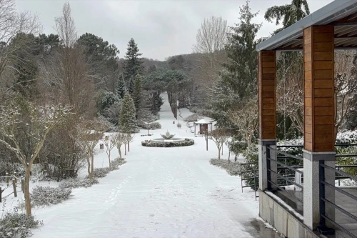 İstanbul'da yılın ilk kar yağışı: Ulaşımda aksamalar yaşandı