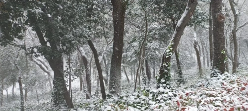 İstanbul'da yılın ilk kar yağışı: Ulaşımda aksamalar yaşandı