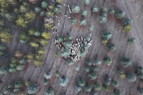 Kırıkkale'de 1,2 milyon metrekare mera arazisine imar planı skandalı