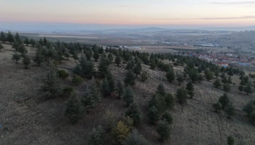 Kırıkkale'de 1,2 milyon metrekare mera arazisine imar planı skandalı