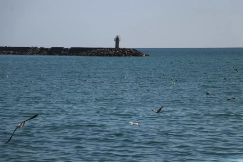 Marmara kıyıları çöküyor: 1.6 milyon kişi fırtına ve erozyon tehlikesinde!