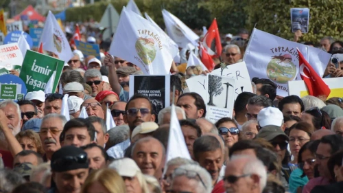 Muğla’da zeytinlik isyanı: “Toprağımızı vermiyoruz!”