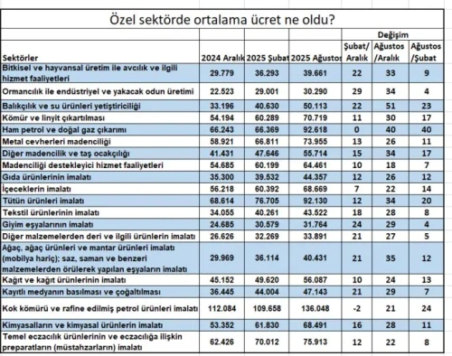 Özel sektör ücret artışı asgari ücretin gerisinde kaldı: Fark yüzde 3