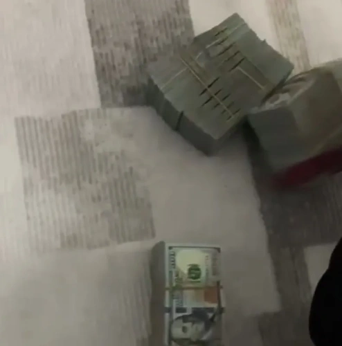 Sahte plakalı araçla 30 milyon dolarlık soygun: Zanlılar suçu reddetti