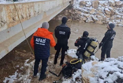 Şanlıurfa'da feci kaza: Otomobil kanala uçtu, 3 çocuk öldü