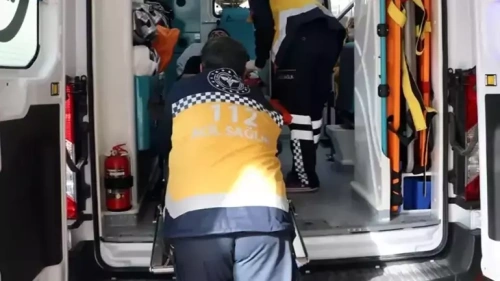 Şanlıurfa'dan sonra Bolu'da da kompresör vahşeti