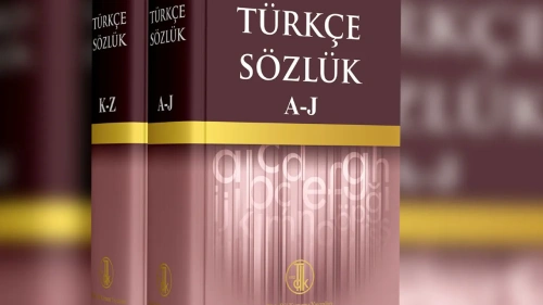 TDK 2025'in kelimesini belirliyor: İşte 5 aday kelime