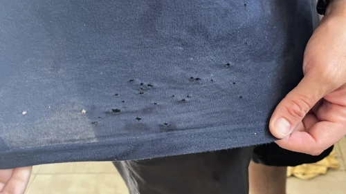 Tişörtünüz neden delinir? Asıl suçlu güve değil