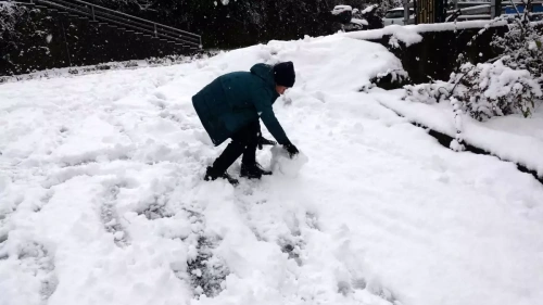 Trabzon'da kar yağışı: Atatürk Köşkü beyaza büründü