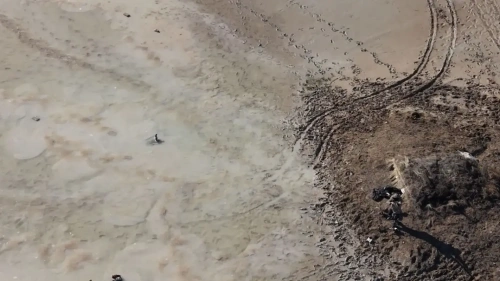 Tuz Gölü'nde kaçak avcı baskını: Memur yaralandı, dron düşürüldü