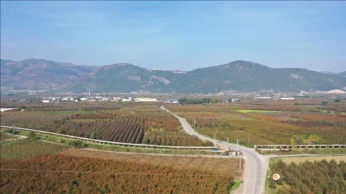 Uzman uyardı: Bursa ve Konya Ovaları her yıl santimetre santimetre çöküyor