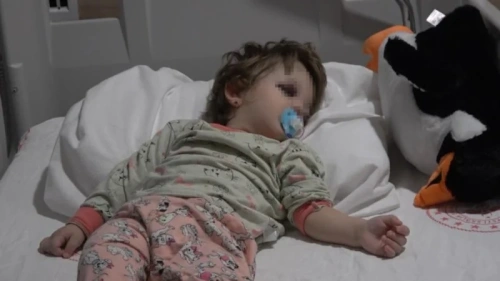 Yalova'da 14 aylık bebeğe sopalı saldırı: Şüpheli tutuklandı, Bakan Gürlek devreye girdi