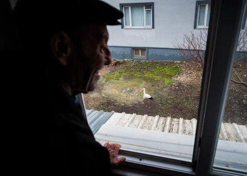 Yaren Leylek 15 yıldır aynı kayığa konuyor